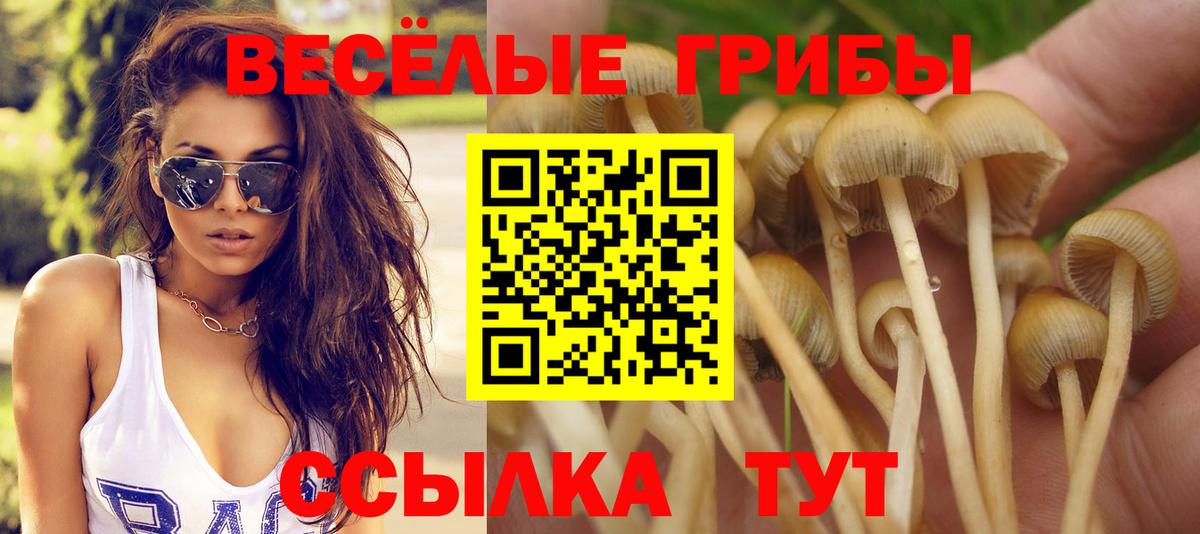 Галлюциногенные грибы ЛСД Лабытнанги
